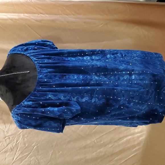 Shannon Ford NY Blue Sequin Scoop Neck Puff Sleeve Blouse 1X - Picture 3 of 6